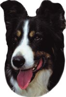 Aufkleber Border Collie, 2 er Set
