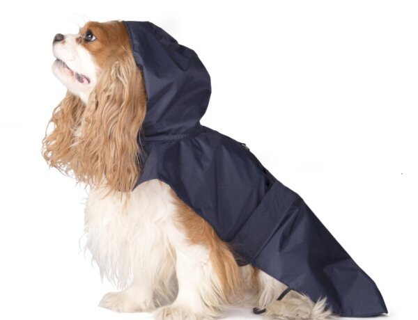 Fashion Dog - Wasserdichter Mantel mit doppeltem schwarzem Nylon, 36 cm