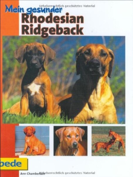 Mein gesunder Rhodesian Ridgeback, Ann Chamberlain