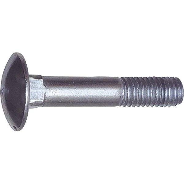 Torbandschraube ohne Mutter DIN 603 M 8x 40 verzinkt