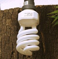 JBL Energiesparlampe für Regenwaldterrarien, E27, ReptilJungle Daylight