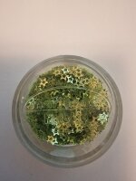 Pailletten Sterne Farbe Hellgrün 4 mm 3 g/Ds